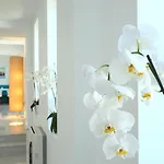 Hotel Saraya Bodrum