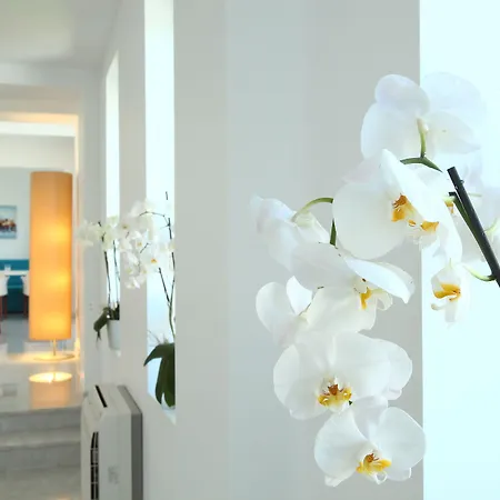 מלון Saraya Bodrum